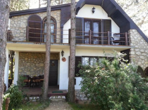 Отель Guesthouse Bajka  Винци